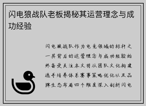 闪电狼战队老板揭秘其运营理念与成功经验